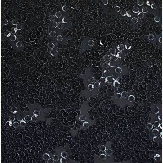 Light in the Darkness